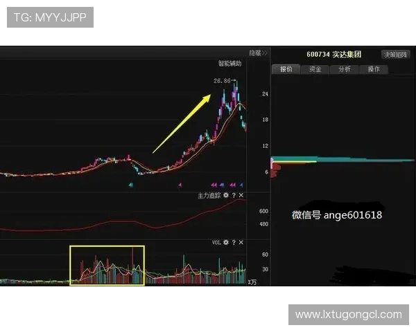 帕尔默能否进入主力阵容的竞争点与适配性分析